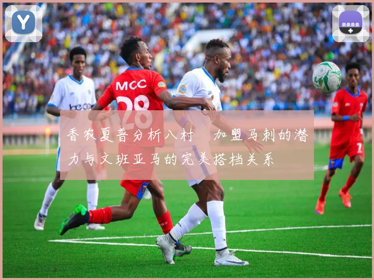 香农夏普分析八村塁加盟马刺的潜力与文班亚马的完美搭档关系